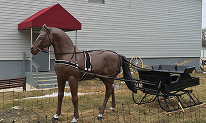 horse in front of the museum