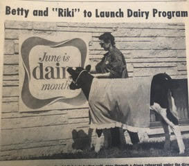 A cow led by a handler in front of a dairy sign.