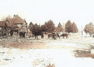 Field with horses and a house