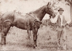 man with a horse